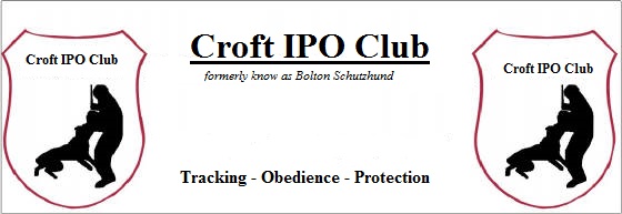 croft_ipo_logo.jpg